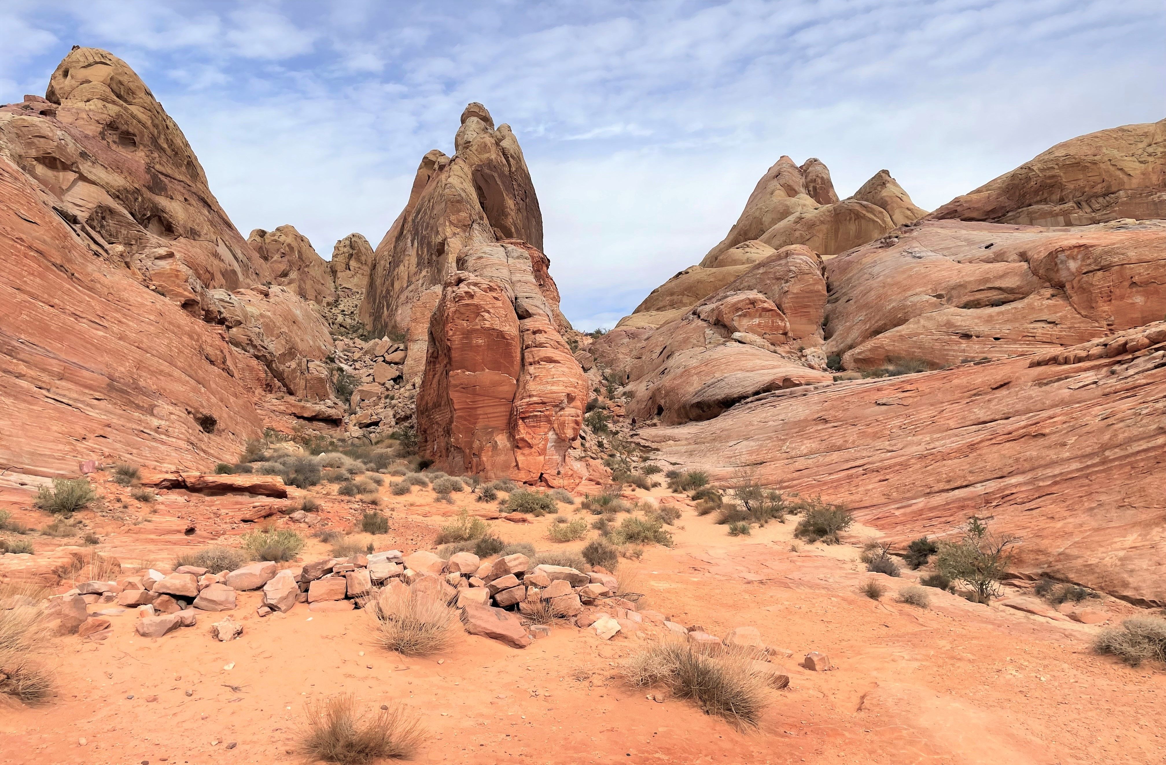Nevada